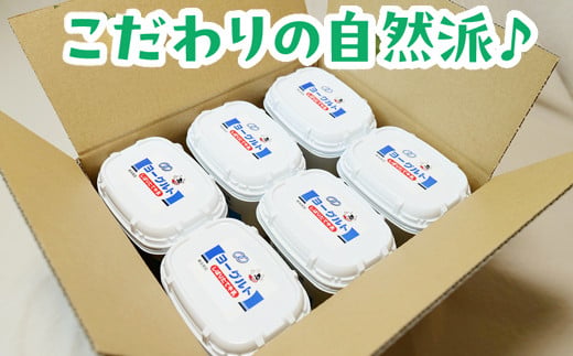 島根県安来市のふるさと納税 【定期便6回】ヨーグルト500ｇ（プレーン）6個セット【無糖 ネッカ牛乳 ノンホモ製法 セット 搾りたて 栄養 こだわり おやつ デザート 朝食 スイーツ 自然派 化学合成物質不使用 安心 乳製品 乳酸菌 腸活 健康 定期便 島根県 安来市】