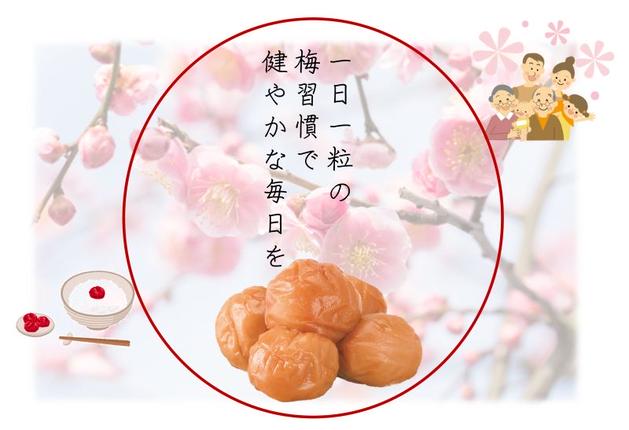 和歌山県湯浅町のふるさと納税 YD1001_紀州南高梅うす塩つぶれ（塩分約6％）700ｇ×2