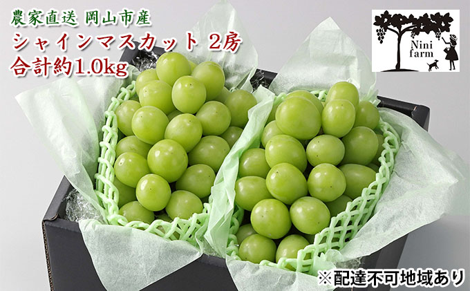 ぶどう 2026年 先行予約 [平均糖度20度] 農家こだわりの シャイン マスカット 2房 合計約1.0kg 贈答クラス ブドウ 葡萄 岡山県産 国産 フルーツ 果物 ギフト [ Nini farm 農家 直送 ]