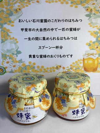 石川蜜園そのまんま 蜂蜜(250g×2本)セット [山梨 はちみつ 蜂蜜