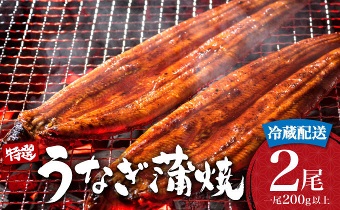うなぎ蒲焼き 400g (200g×2尾) 冷蔵