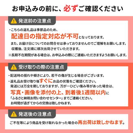 青森県鶴田町のふるさと納税 2月発送【 糖度保証 】家庭用 葉取らず サンふじ 約 3kg【 訳あり 】鶴翔りんごGAP部会 青森県産 津軽産 リンゴ 林檎 果物 フルーツ デザート 甘味