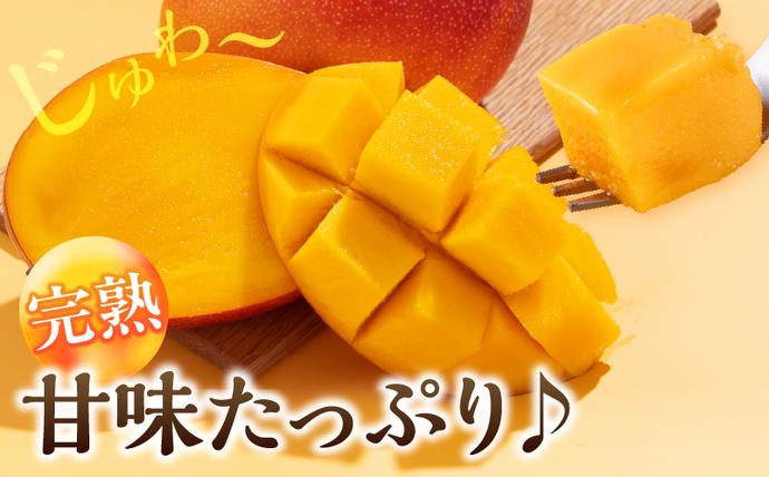 宮崎県日南市のふるさと納税 数量限定 宮崎県産 完熟マンゴー 2玉 計500g以上 期間限定 フルーツ スイーツ 果物 くだもの 食品 グルメ デザート 国産 産地直送 人気 おすすめ おやつ 高級 ご褒美 贅沢 贈り物 ギフト プレゼント 令和8年発送分 宮崎県 日南市 送料無料_BD106-25