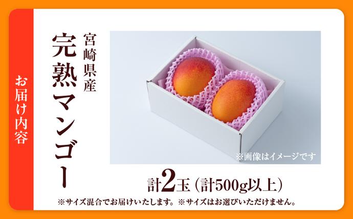 宮崎県日南市のふるさと納税 数量限定 宮崎県産 完熟マンゴー 2玉 計500g以上 期間限定 フルーツ スイーツ 果物 くだもの 食品 グルメ デザート 国産 産地直送 人気 おすすめ おやつ 高級 ご褒美 贅沢 贈り物 ギフト プレゼント 令和8年発送分 宮崎県 日南市 送料無料_BD106-25