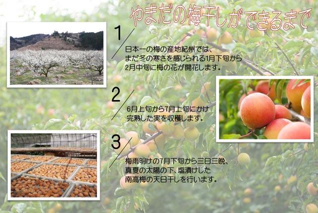 和歌山県湯浅町のふるさと納税 YD1006_紀州南高梅はちみつ極塩分約6％（850ｇ）