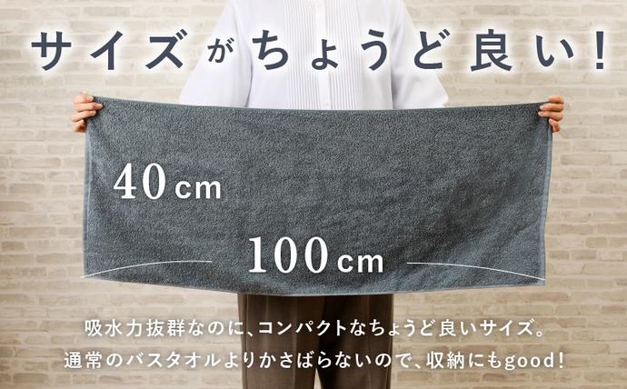大阪府泉佐野市のふるさと納税 コンパクトバスタオル 6枚 シックグレー【速乾 中厚 ロングヘアにも最適 泉州タオル 国内製造 国産 吸水 普段使い シンプル 日用品 家族 ファミリー】 099H3813