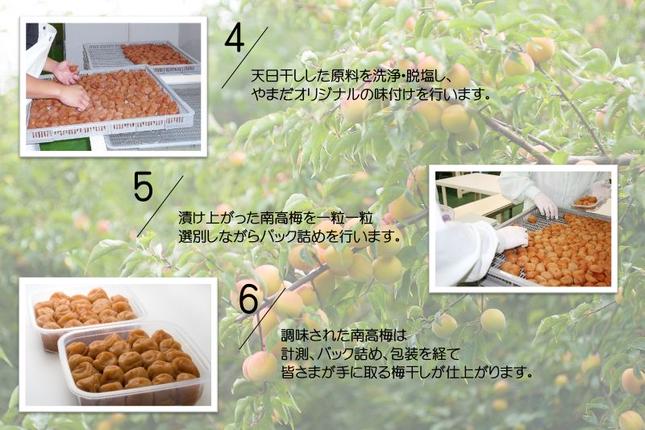 和歌山県湯浅町のふるさと納税 YD1010_紀州南高梅しそプレミアム塩分約6％（850ｇ）