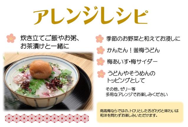 和歌山県湯浅町のふるさと納税 YD1010_紀州南高梅しそプレミアム塩分約6％（850ｇ）