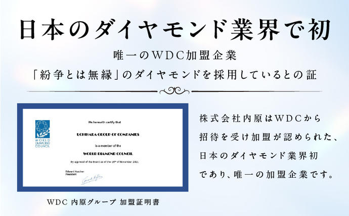 大阪府泉佐野市のふるさと納税 アルカンシェルプラチナ ダイヤハートペンダント(計 0.05ct)【鑑別書付き ジュエリー プレゼント ギフト ファッション アクセサリー 贈り物 贈答 お祝い 記念日】 J033-4