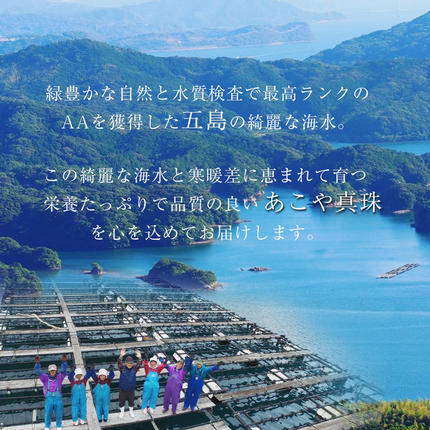 長崎県島原市のふるさと納税 BI393 Marycoco あこや本真珠 7mm 3粒 パールネックレス ケース付 [NK80-3g ネックレス パール 真珠 本真珠 アコヤ真珠 アコヤ本真珠 ジュエリー アクセサリー メアリーココ 長崎県 島原市 ]