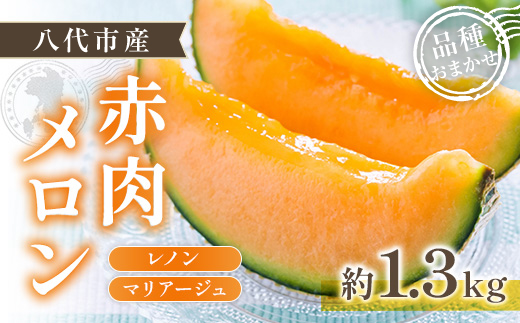 熊本県八代市のふるさと納税 【先行予約】赤肉メロン（レノンまたはマリアージュメロン）約1.3kg 果物 くだもの 旬 ご褒美 季節の果物 【2026年6月中旬より順次発送】