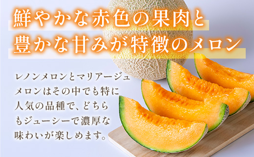 熊本県八代市のふるさと納税 【先行予約】赤肉メロン（レノンまたはマリアージュメロン）約1.3kg 果物 くだもの 旬 ご褒美 季節の果物 【2026年6月中旬より順次発送】