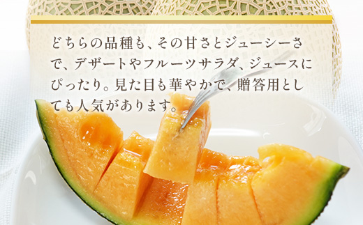 熊本県八代市のふるさと納税 【先行予約】赤肉メロン（レノンまたはマリアージュメロン）約1.3kg 果物 くだもの 旬 ご褒美 季節の果物 【2026年6月中旬より順次発送】