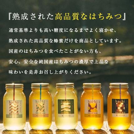 北海道のふるさと納税 【北のハイグレード2024】シナ(菩提樹)蜂蜜160g×1 F6S-471