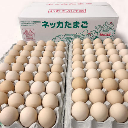 新鮮 石見のネッカたまご 90個 美味しまね認証 / 島根県邑南町