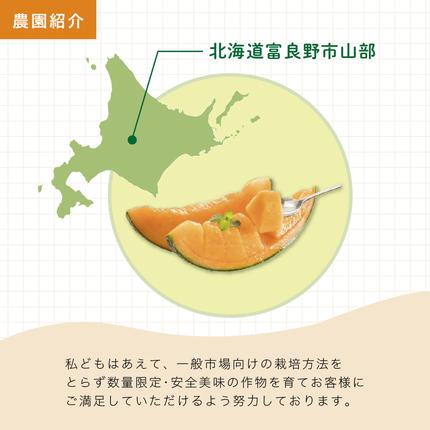 北海道富良野市のふるさと納税 【セゾン限定】【2026年6月より順次発送】ふらの山部の絶品メロン『鳳凰』 2L 2玉 計3.6kg以上（坂口農産）メロン フルーツ 果物 新鮮 甘い 贈り物 ギフト 道産 ジューシー おやつ ふらの ブランド 夏