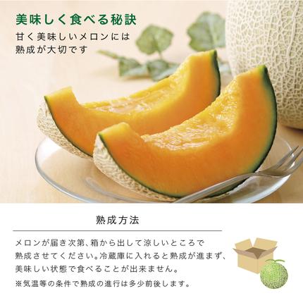 北海道富良野市のふるさと納税 【セゾン限定】【2026年6月より順次発送】ふらの山部の絶品メロン『鳳凰』 2L 2玉 計3.6kg以上（坂口農産）メロン フルーツ 果物 新鮮 甘い 贈り物 ギフト 道産 ジューシー おやつ ふらの ブランド 夏