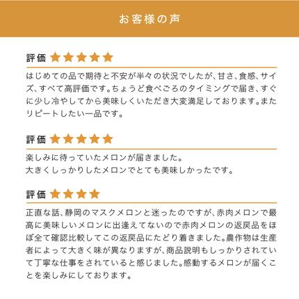 北海道富良野市のふるさと納税 【セゾン限定】【2026年6月より順次発送】ふらの山部の絶品メロン『鳳凰』 2L 2玉 計3.6kg以上（坂口農産）メロン フルーツ 果物 新鮮 甘い 贈り物 ギフト 道産 ジューシー おやつ ふらの ブランド 夏