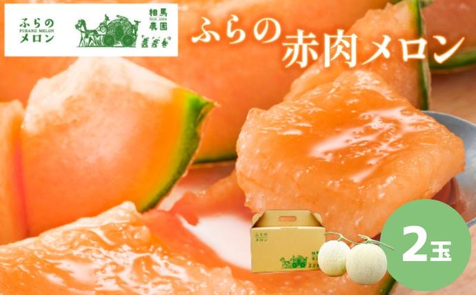 北海道富良野市のふるさと納税 【セゾン限定】【2026年6月下旬～発送】 ふらの 赤肉 メロン 2玉入 計4kg前後 北海道 富良野市 (相馬農園) メロン フルーツ 果物 新鮮 甘い 贈り物 ギフト 道産 ジューシー おやつ ふらの ブランド 夏