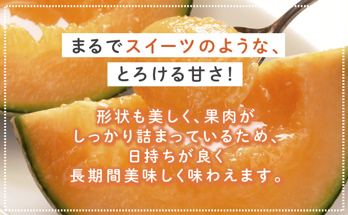 北海道富良野市のふるさと納税 【セゾン限定】【2026年6月下旬～発送】 ふらの 赤肉 メロン 2玉入 計4kg前後 北海道 富良野市 (相馬農園) メロン フルーツ 果物 新鮮 甘い 贈り物 ギフト 道産 ジューシー おやつ ふらの ブランド 夏