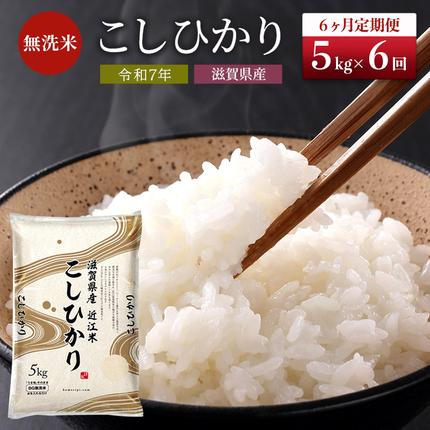 特A受賞歴 定期便 6ヶ月 5kg こしひ