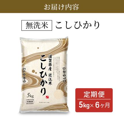 滋賀県豊郷町のふるさと納税 特A受賞歴 定期便 6ヶ月 5kg こしひかり BG無洗米 無洗米 令和7年産 滋賀県産 米 近江米 コシヒカリ 時短 定期 6回