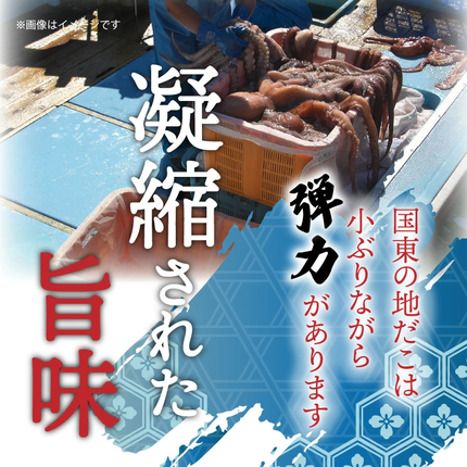 大分県国東市のふるさと納税 【父の日ギフト】国東半島の天然地だこ三味セット/計400g_2557R