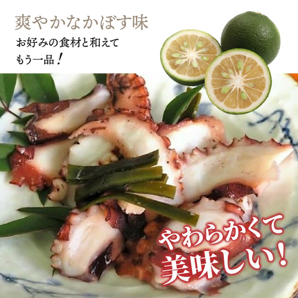 大分県国東市のふるさと納税 【父の日ギフト】国東半島の天然地だこ三味セット/計400g_2557R