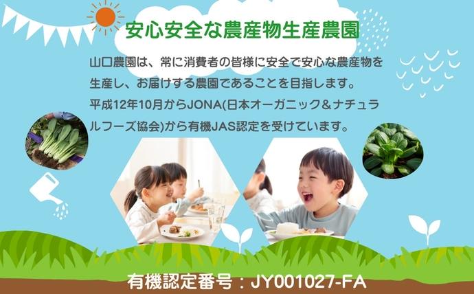 奈良県宇陀市のふるさと納税 農家のたっぷり野菜カレー 10個／ふるさと納税 レトルトカレー 詰め合わせ ギフト 10食 野菜 ふるさと 有機野菜 オーガニック 飯 簡単 時短 保存食 奈良県 宇陀市 山口農園