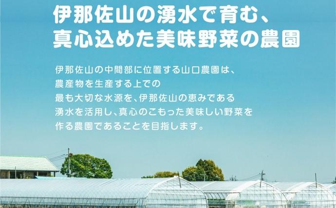 奈良県宇陀市のふるさと納税 農家のたっぷり野菜カレー 10個／ふるさと納税 レトルトカレー 詰め合わせ ギフト 10食 野菜 ふるさと 有機野菜 オーガニック 飯 簡単 時短 保存食 奈良県 宇陀市 山口農園
