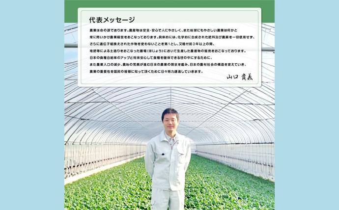 奈良県宇陀市のふるさと納税 農家のたっぷり野菜カレー 10個／ふるさと納税 レトルトカレー 詰め合わせ ギフト 10食 野菜 ふるさと 有機野菜 オーガニック 飯 簡単 時短 保存食 奈良県 宇陀市 山口農園