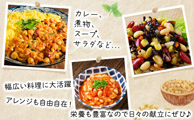 北海道伊達市のふるさと納税 【セゾン限定】【数量限定】なまら推し大豆 12缶＋2缶！