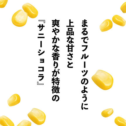福岡県篠栗町のふるさと納税 上品な甘さのトウモロコシ「サニーショコラ」(3.5kg前後/10本)　