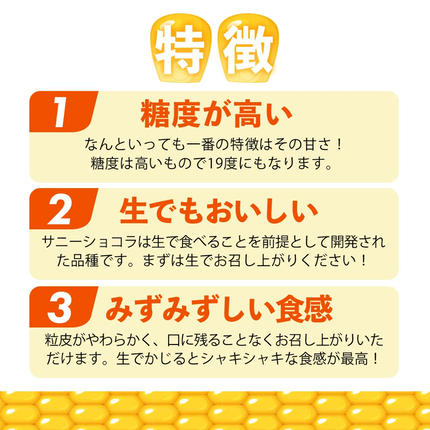 福岡県篠栗町のふるさと納税 上品な甘さのトウモロコシ「サニーショコラ」(3.5kg前後/10本)　