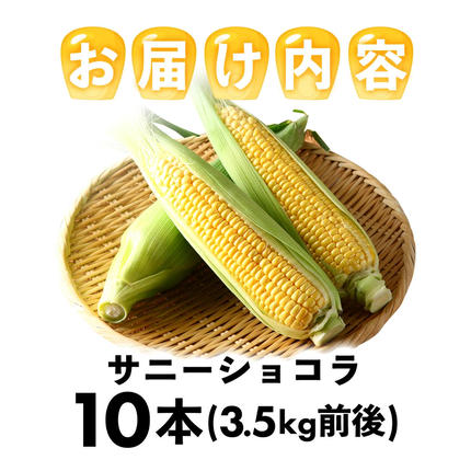福岡県篠栗町のふるさと納税 上品な甘さのトウモロコシ「サニーショコラ」(3.5kg前後/10本)　