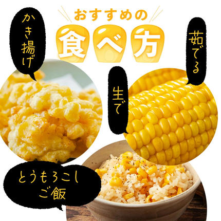 福岡県篠栗町のふるさと納税 上品な甘さのトウモロコシ「サニーショコラ」(3.5kg前後/10本)　