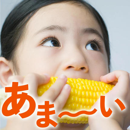 福岡県篠栗町のふるさと納税 上品な甘さのトウモロコシ「サニーショコラ」(3.5kg前後/10本)　