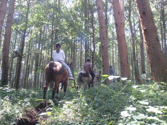 長野県小諸市のふるさと納税 体験 まきば軽井沢 まったり100分 乗馬 1名様 体験チケット 馬 自然