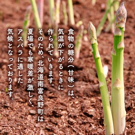 北海道南富良野町のふるさと納税 【セゾン限定】[2026年春配送] 北海道南富良野町 アスパラ 1kg MLサイズ 混合 トマト農家 鳥羽農園の作る 新鮮 野菜 産地直送 甘い ジューシー ふるさと納税 送料無料