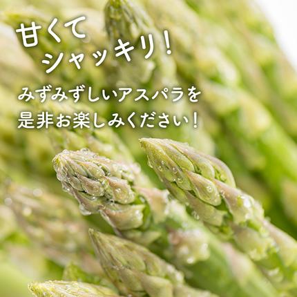 北海道南富良野町のふるさと納税 【セゾン限定】[2026年春配送] 北海道南富良野町 アスパラ 1kg MLサイズ 混合 トマト農家 鳥羽農園の作る 新鮮 野菜 産地直送 甘い ジューシー ふるさと納税 送料無料