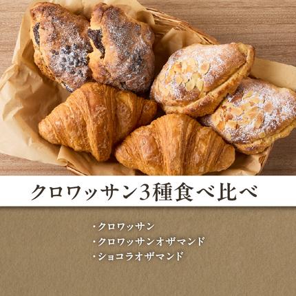 京都府木津川市のふるさと納税 【定期便】毎月違う味が楽しめる！店主厳選！ パン定期便 選べる回数（3回・4回・6回）