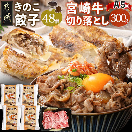 きのこ餃子48個&宮崎牛(A5)霜降り切り落し300g〔87-008-48-300g〕
