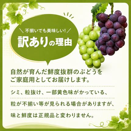 訳あり シャインマスカット 約2kg 3～4房 高梁市産 2027年 先行予約