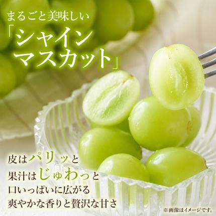 訳あり シャインマスカット 約2kg 3～4房 高梁市産 2027年 先行予約