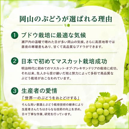 訳あり シャインマスカット 約2kg 3～4房 高梁市産 2027年 先行予約