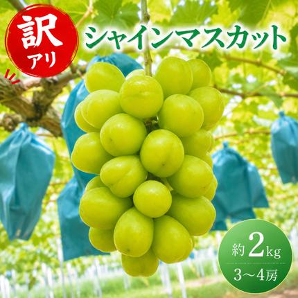 訳あり シャインマスカット 約2kg 3～4房 高梁市産 2027年 先行予約