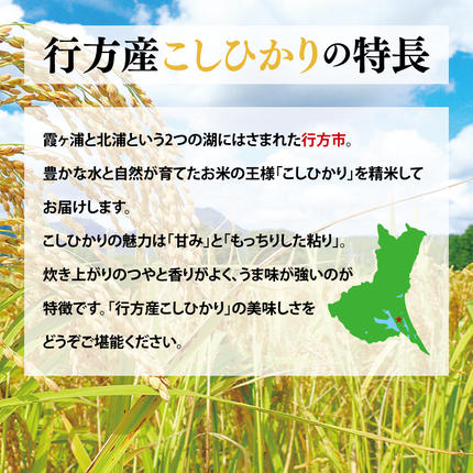 茨城県行方市のふるさと納税 ★令和8年度産★行方産こしひかり 10kg(検査1等米)｜米 お米 コシヒカリ こしひかり 令和8年産 R8年産 茨城県 行方市(CU-31-2)