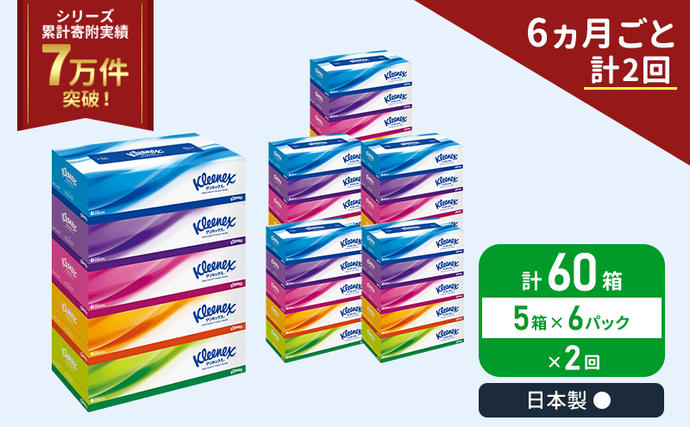 定期便 ティッシュ クリネックス 5箱入 