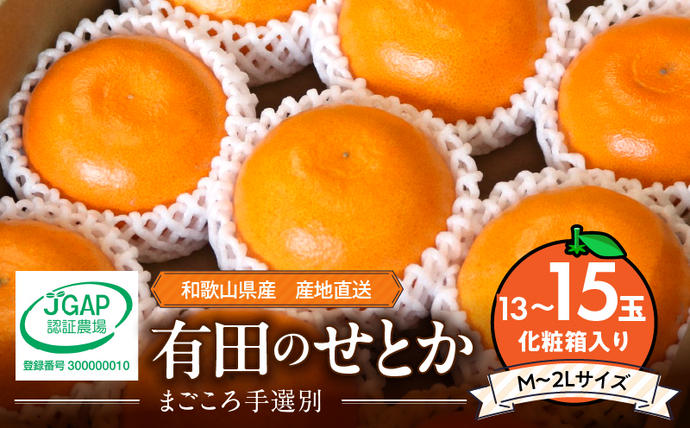 ZE6497_【2026年先行予約】【まご