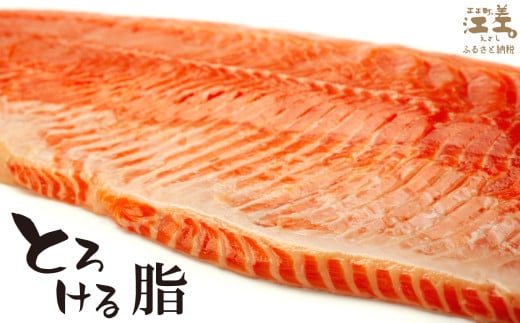 北海道江差町のふるさと納税 ＼配送月指定可／北海道産 サーモン フィレ 生食用 700g以上×2枚 皮なし・骨取り済 1尾分　1枚でお刺身10人前分くらい　日本海 かもめ島海面養殖　純国産 ブランドサーモン『江さしっ子 繁虎』　衝撃の口どけ　とろける脂　生食可　冷凍　トラウトサーモン　刺身　サーモンステーキ　カルパッチョ　海鮮　鮭　さけ　シャケ　しゃけ　さーもん